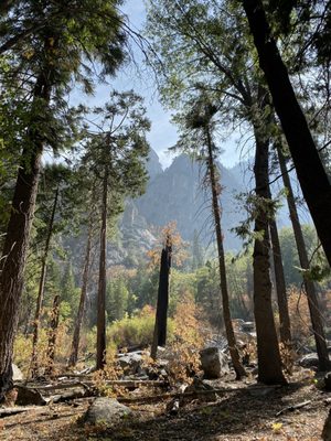 Kings Canyon National Park by null