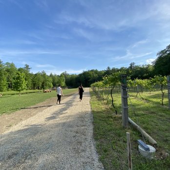 Zorvino Vineyards - Wineries Near Me - Sandown, New Hampshire Zorvino Vineyards - Wineries Near Me - Sandown, New Hampshire