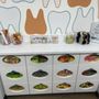 Photo of Bitesize Pediatric Dentistry