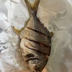 Little Kids Nutrition Fish Market