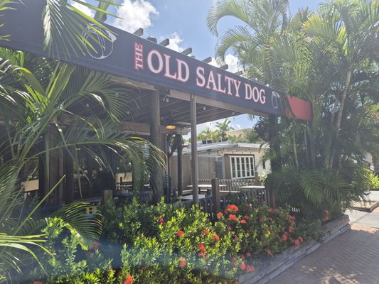 The Old Salty Dog Siesta Key by null