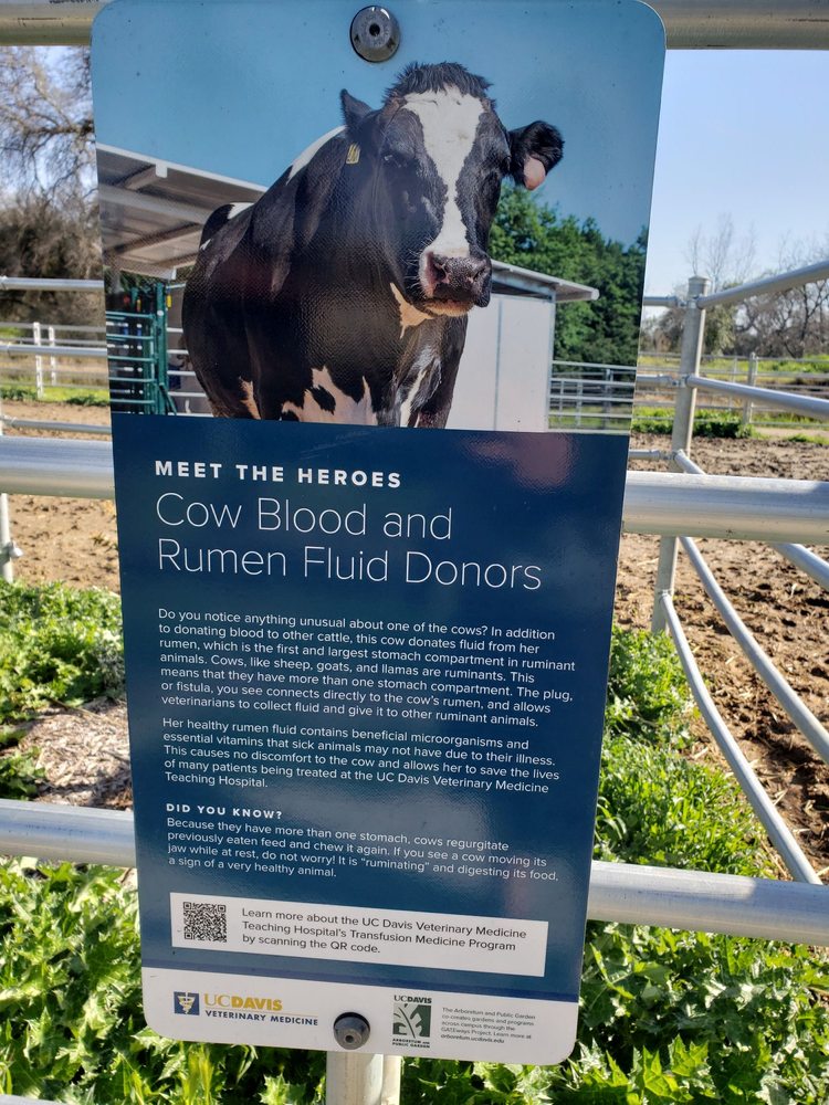 UC DAVIS VETERINARY TEACHING HOSPITAL 210 Photos & 306 Reviews 1