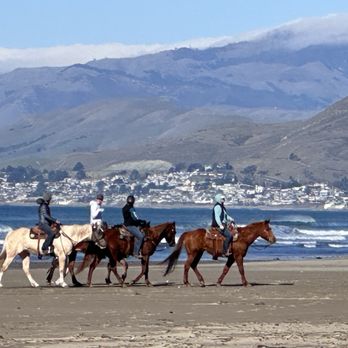 Morro Dunes RV Park - RV Parks Near Me - Morro Bay, California Morro Dunes RV Park - RV Parks Near Me - Morro Bay, California