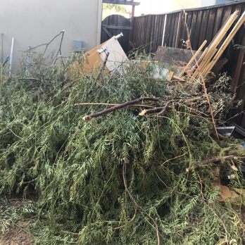 Junk B Gone - Junk Removal & Hauling Near Me - Stockton, California