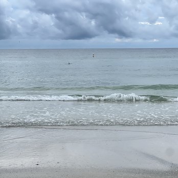 Cortez Beach - dolphins - Beaches Near Me - Bradenton Beach, Florida