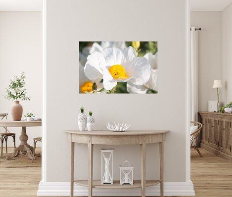 Latitudes Gallery - Ventura by null