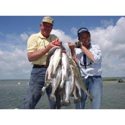 Fish On Guide Service - Limits of Trout. Corpus Christi Fish on Pro.com