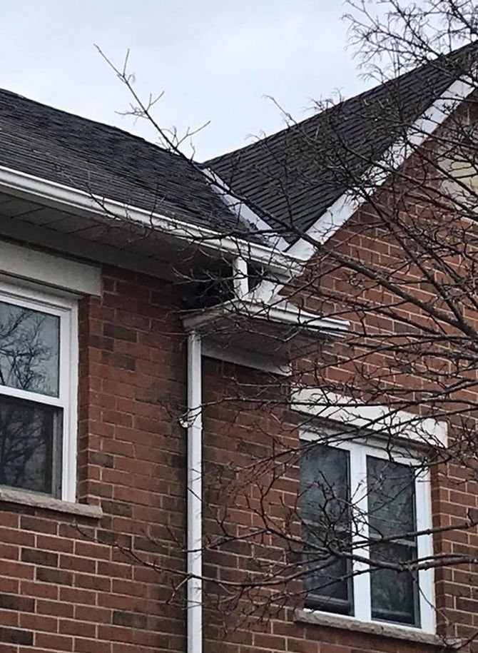 Slide of Melita Roofing