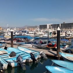 Great view from the Cabo marina