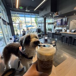 dog friendly dog friendly