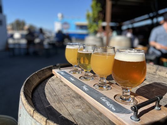 Blue Oak Brewing Company by null