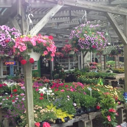 S Scherer & Sons - Annuals, Perennials, Vegetables, hanging baskets and more!!