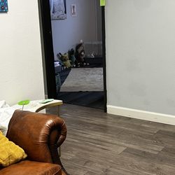 Mind Body & Beyond Wellness Center - The rabbit in the kid's room.