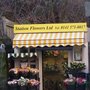 Photo of Station Flowers