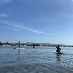 Newport Harbor Paddleboarding - Paddle board and kayak