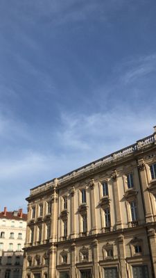 Museum of Fine Arts of Lyon by null