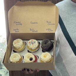 6 cupcakes for wedding tasting 6 cupcakes for wedding tasting