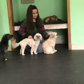 Beck'n Call Pet Services - Pet Sitting Near Me - Albuquerque, New Mexico