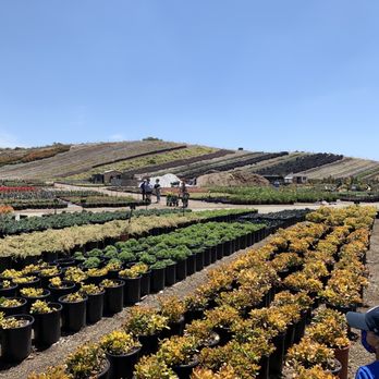 Waterwise Botanicals - Nurseries & Gardening Near Me - Bonsall, California