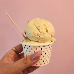 Ice Cream Junction - Doubke scoop - Rum rasin