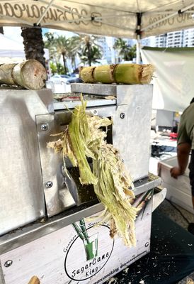 Las Olas Oceanside Park by null