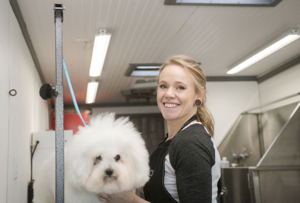 GROOMED BY KELSEY Fort Collins, Colorado Pet Groomers Phone