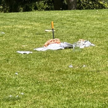 Pan Pacific - Trash on the lawn - Hotels Near Me - Toronto, Ontario