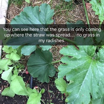 Spikes & Houles - Home & Garden Near Me - Stillwater, Minnesota