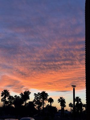 ASU Gammage by null