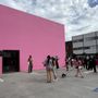 The Pink Wall