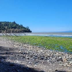 Murdock Beach