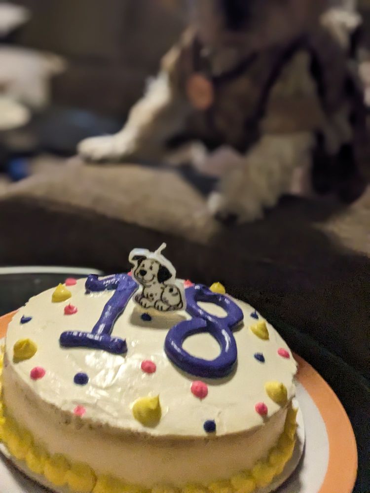 Yappy Hour Bakery