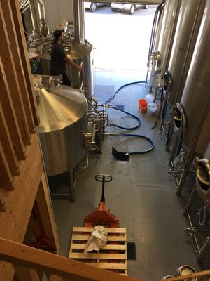 A-FRAME Brewing Co by null