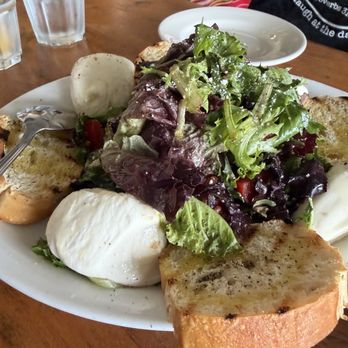 Piccola Italia Bistro - Italian Near Me - Tampa, Florida