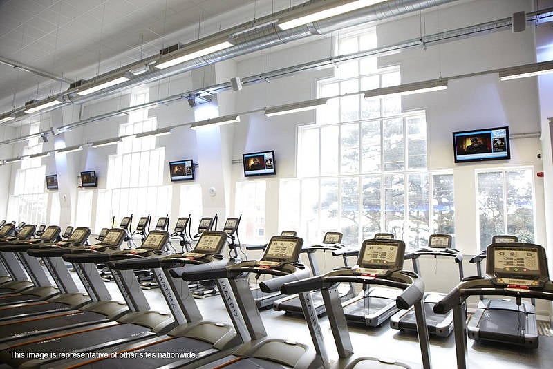 THE GYM HEMEL HEMPSTEAD Updated May 2024 Jarman Way, Hemel