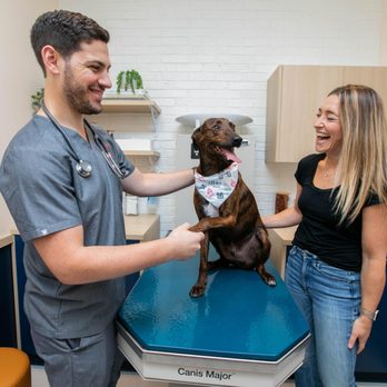 Bond Vet - Seaport - Veterinarians Near Me - Boston, Massachusetts Bond Vet - Seaport - Veterinarians Near Me - Boston, Massachusetts