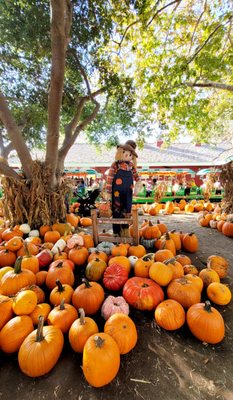 Irvine Regional Park by null