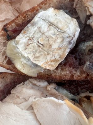 Rosemary and Thyme by null