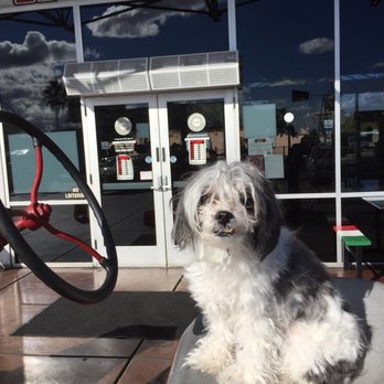 El Güero Canelo Restaurant - New tractor outside of oracle grant location several years ago my daughters dog - Mexican Near Me - Tucson, Arizona El Güero Canelo Restaurant - New tractor outside of oracle grant location several years ago my daughters dog - Mexican Near Me - Tucson, Arizona