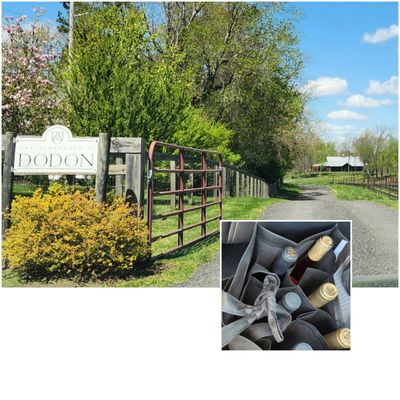 The Vineyards at Dodon by null