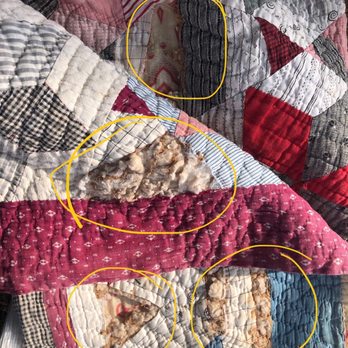 US No 1 Cleaners - The entire sections of fabric GONE?! Quilt is destroyed. - Dry Cleaning Near Me - Los Angeles, California US No 1 Cleaners - The entire sections of fabric GONE?! Quilt is destroyed. - Dry Cleaning Near Me - Los Angeles, California