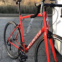 Gray Goat Bicycle - 2020 Specialized Allez