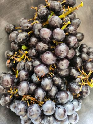 Costco Wholesale by null