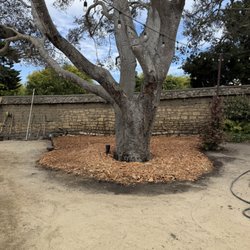 Mountain Valley Tree Service