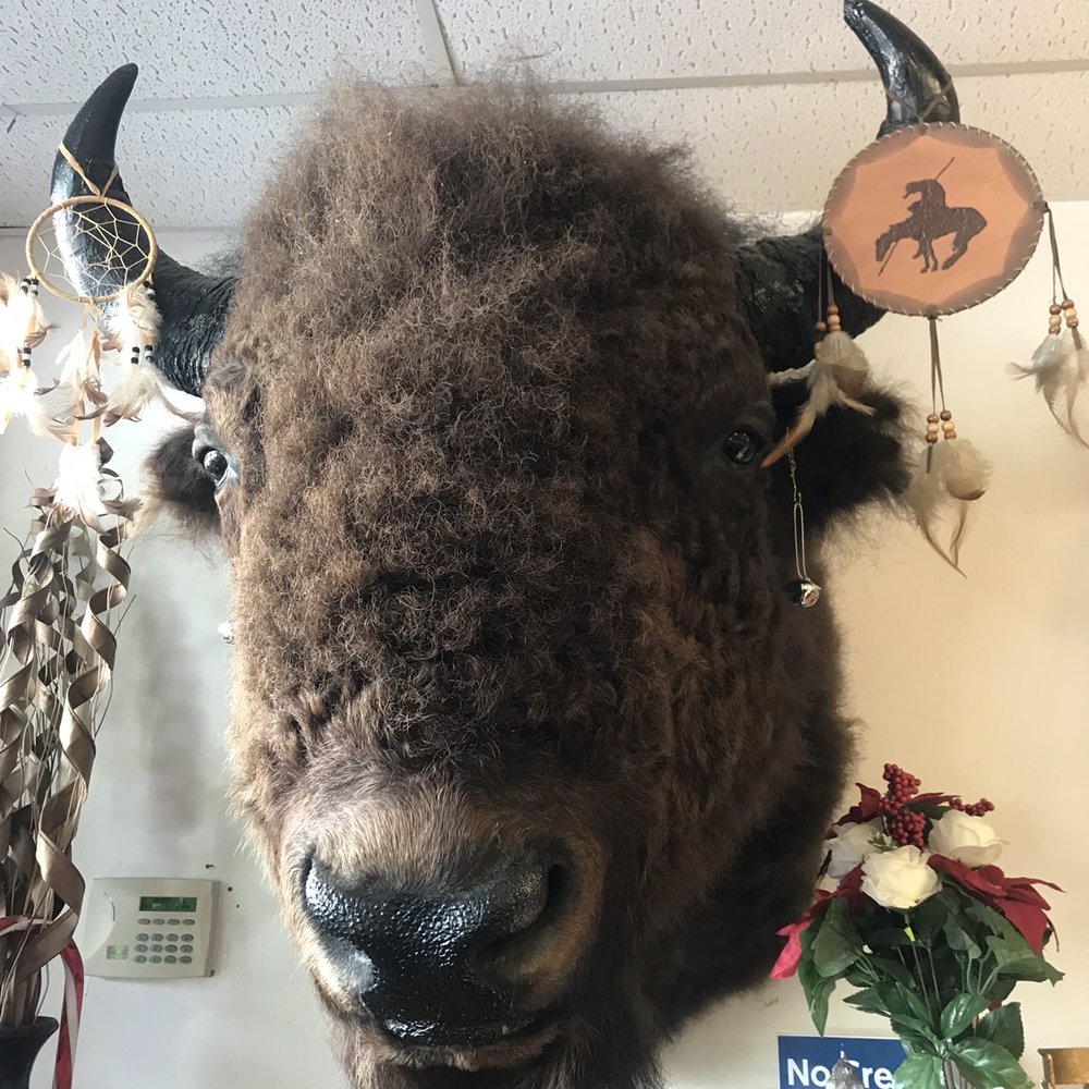 Armbruster Paul J Goldsmiths - Mr Buffalo, Fo'Real !!! - Jewelry Near Me - Aiea, Hawaii Armbruster Paul J Goldsmiths - Mr Buffalo, Fo'Real !!! - Jewelry Near Me - Aiea, Hawaii
