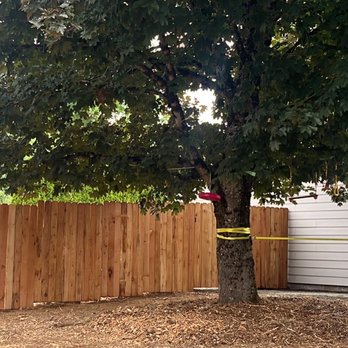 Lawn Care By Dan - Front yard with side fence - Landscaping Near Me - Vancouver, Washington Lawn Care By Dan - Front yard with side fence - Landscaping Near Me - Vancouver, Washington