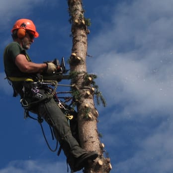 ArborCare - Chris P at it again!! - Tree Services Near Me - Calgary, Alberta