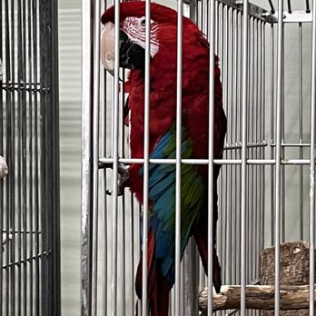Mr. Drew & his animals too - Zoos Near Me - Poland, Maine
