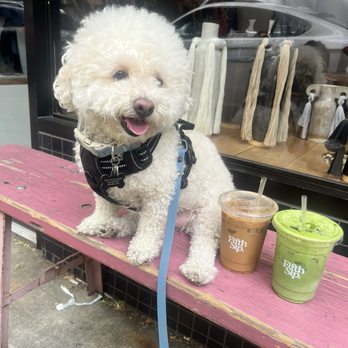 FifthSip - Coffee & Tea Near Me - New York, New York