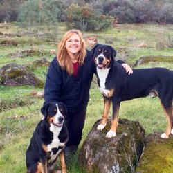 Me and my two dogs